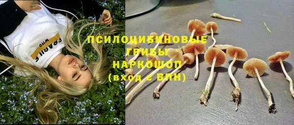 бошки Куйбышев