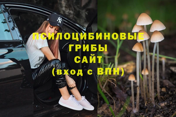 твердый Краснотурьинск