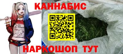 индика Апшеронск