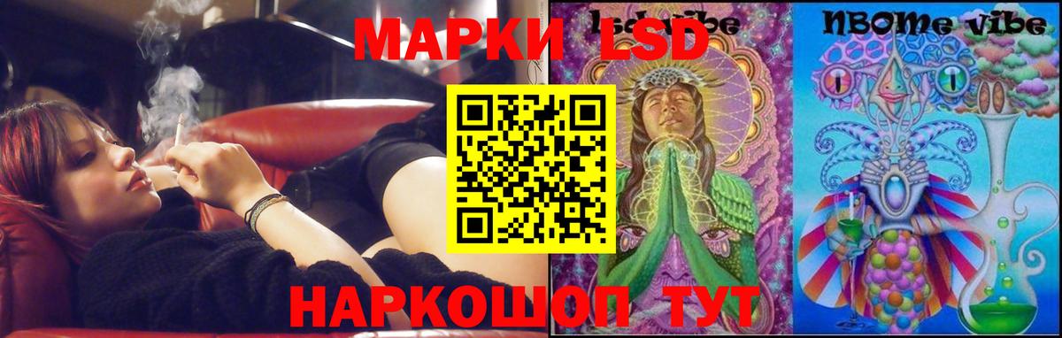 Галлюциногенные грибы Пенза
