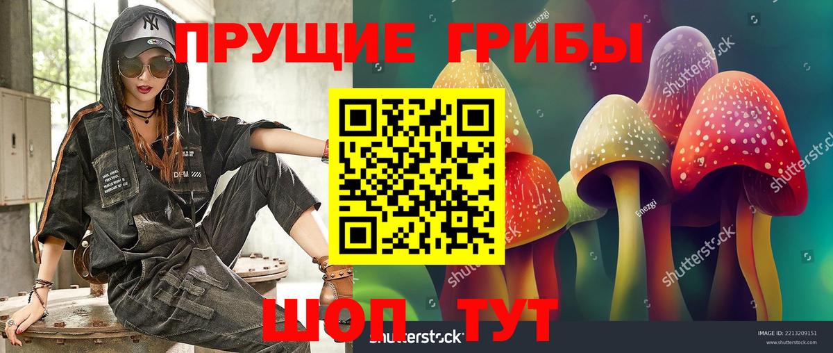 Галлюциногенные грибы MAGIC MUSHROOMS  Пенза 