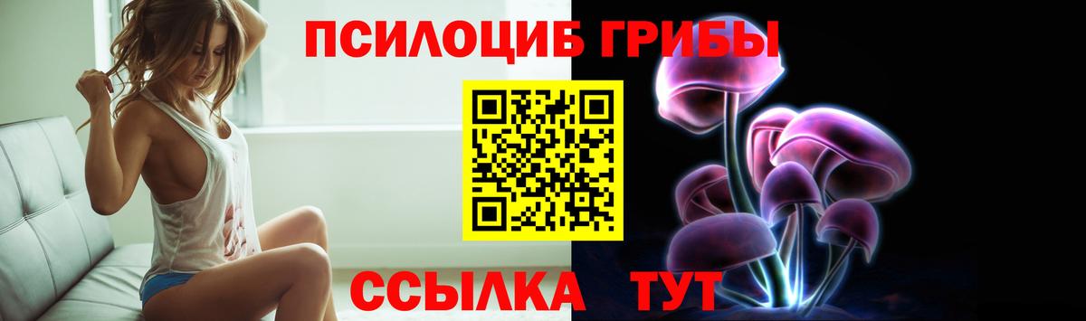 Галлюциногенные грибы ЛСД  Галлюциногенные грибы прущие грибы  Пенза  наркота  Вход с VPN 